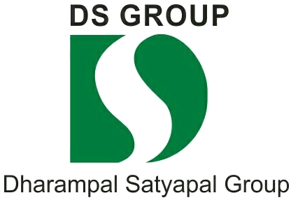 DS_Group_logo